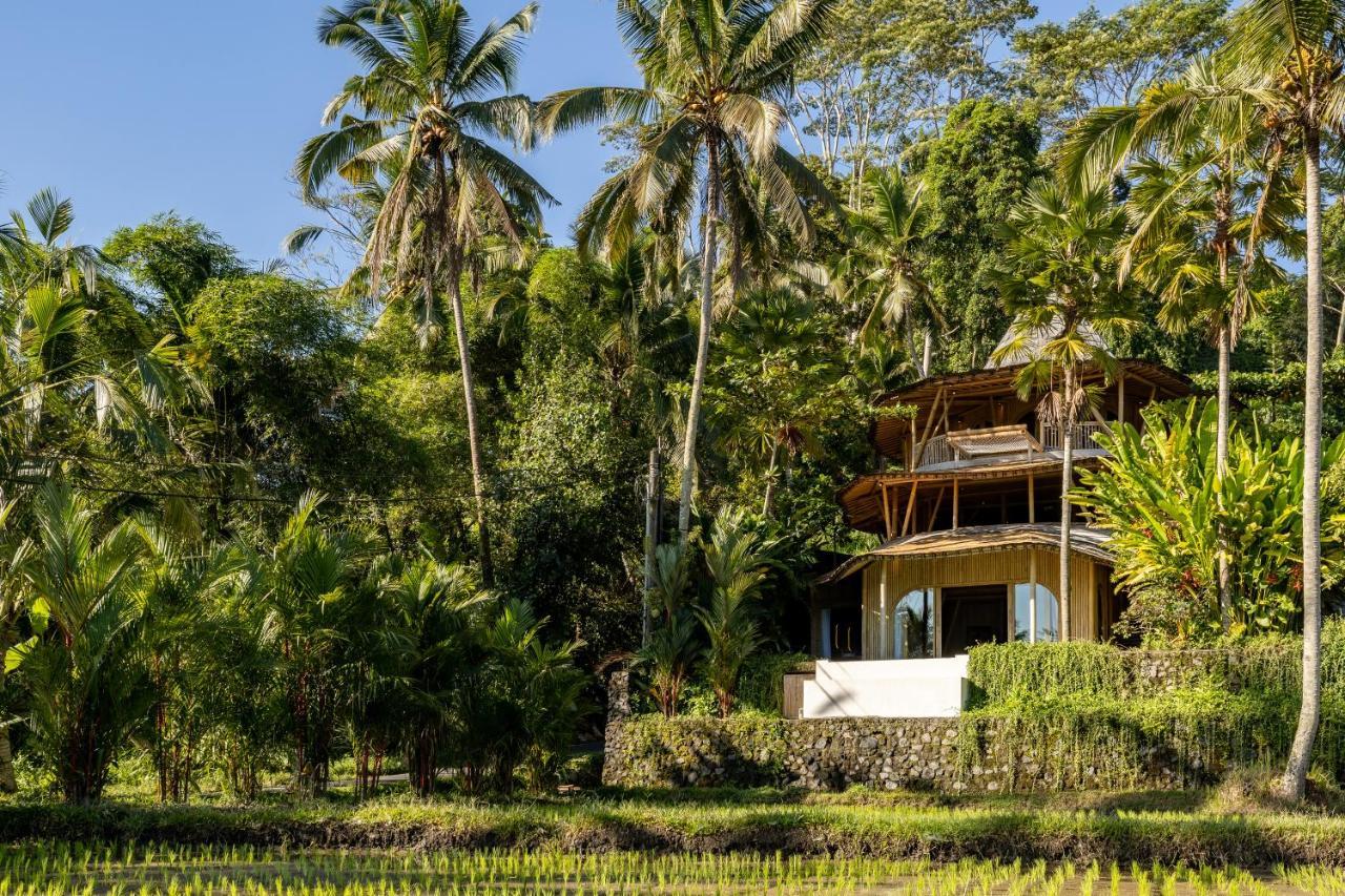 Hotel Eco Six Bali Tampaksiring Esterno foto